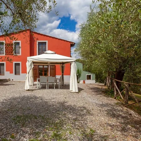 Capannina Lucca Countryside