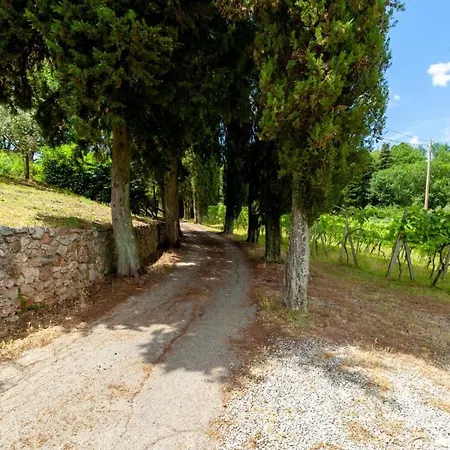 Capannina Lucca Countryside